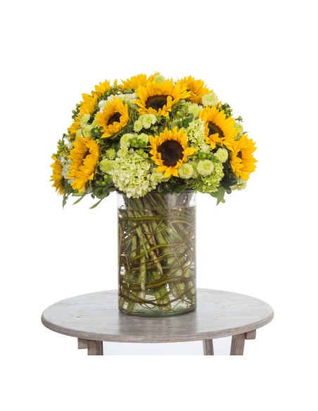 20 Girasoles en Jarrón 💝